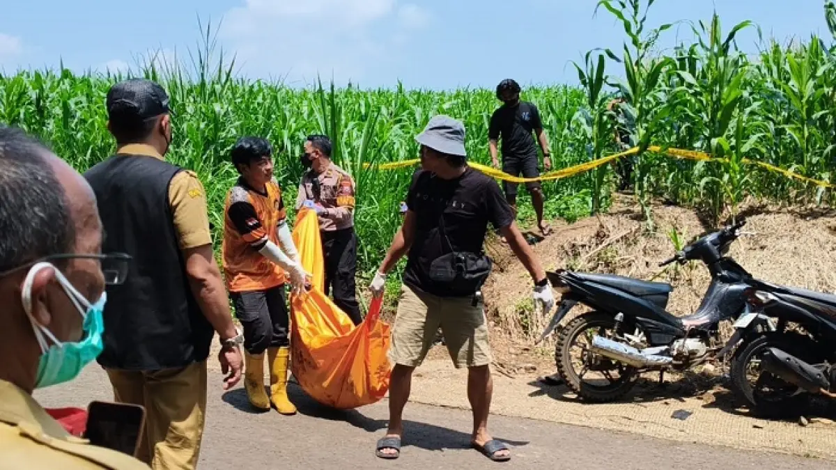 Polisi mengevakuasi penemuan mayat membusuk di kebun jagung Dusun Babatan, Desa Sumberjo, Kecamatan Wonosalam, Senin (20/4) 