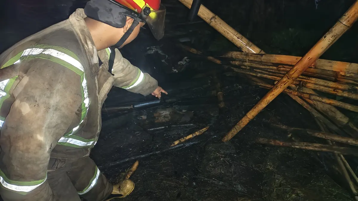 Kebakaran kandang sapi terjadi di Dusun Kalangan, Desa Kalangsemanding, Kecamatan Perak, Kabupaten Jombang, pada Senin (27/4) dini hari.