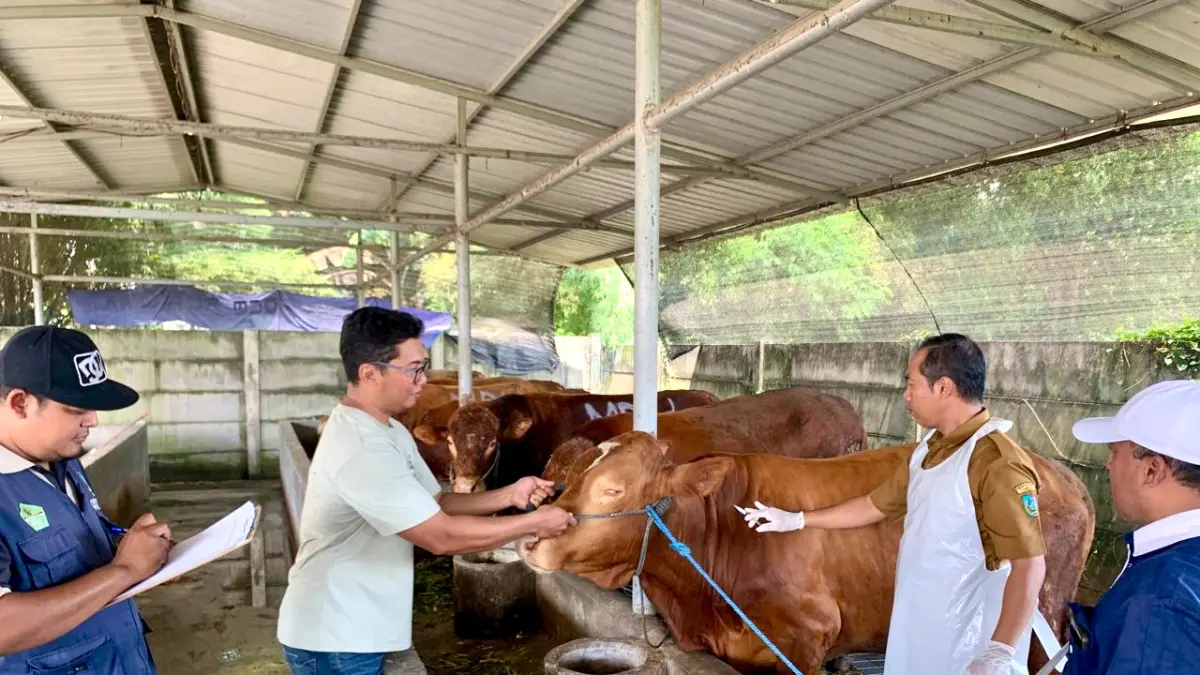 FOTO: AZMY ENDIYANA ZUHRI/JAWA POS RADAR JOMBANG
KEBUT: Dinas Peternakan Jombang melakukan vaksin hewan ternak di Desa Bendet, Kecamatan Diwek, (8/5)

