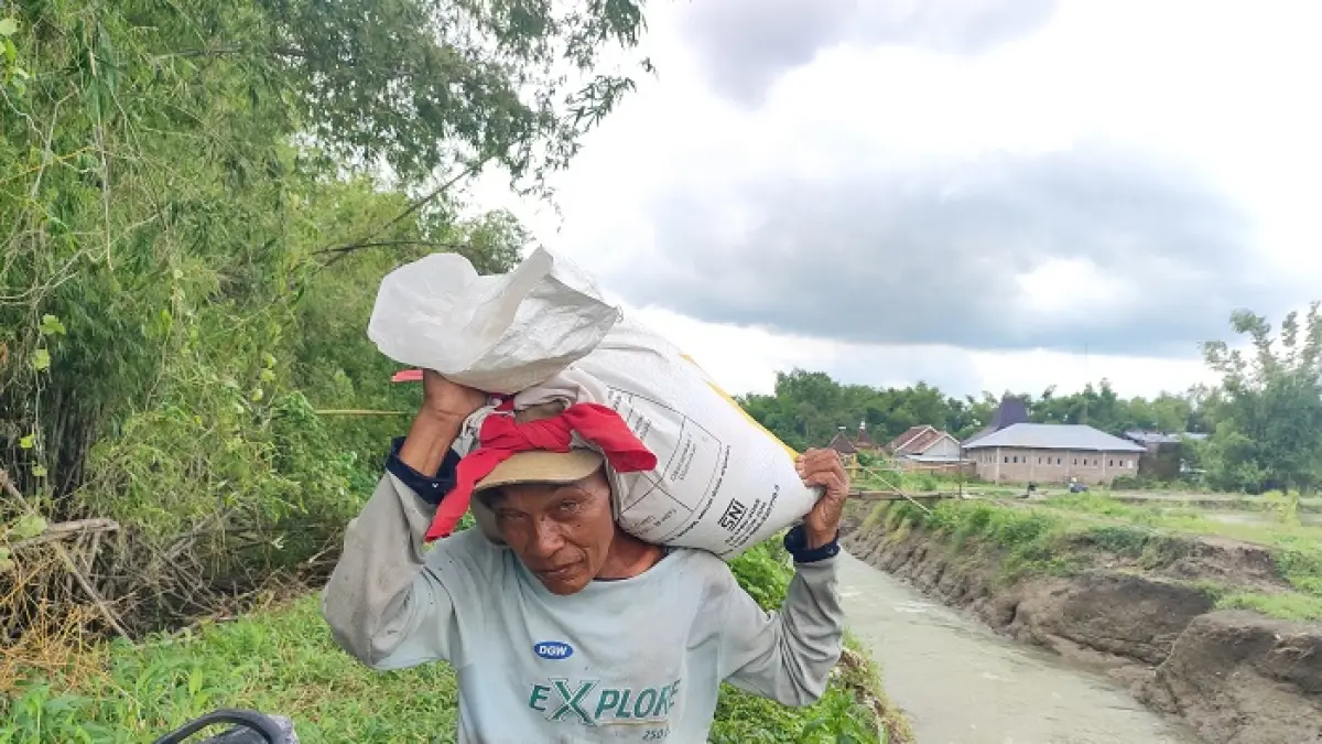 Pemkab Jombang mengalokasikan anggaran Rp 1,2 miliar untuk pengadaan pupuk organik cair (POC) bagi petani tanaman pangan