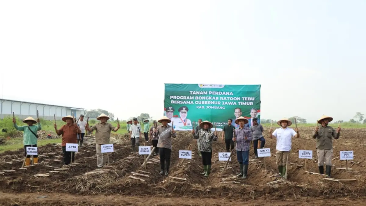 KOMPAK: Dari kiri, Sekdakab Jombang Agus Purnomo, Wabup Jombang Salmanudin, GM PT SGN PG Tjoekir Abdul Azis Purmali Camat Mojowarno M Ronny Afriandie menanam tebu di Desa Catakgayam, Kecamatan Mojowarno, Sabtu (23/5).

