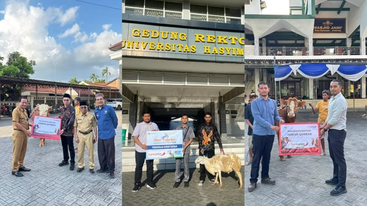 PT Bank Pembangunan Daerah Jawa Timur Tbk (Bank Jatim) Cabang Jombang menyalurkan tiga ekor hewan kurban pada momentum Hari Raya Idul Adha 1447 Hijriah
