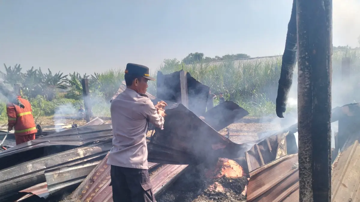Kandang ternak milik Abd Chalim di Dusun Caruban, Desa Alang Alang Caruban, Kecamatan Jogoroto, Kabupaten Jombang terbakar, Jumat (29/5) pagi. 