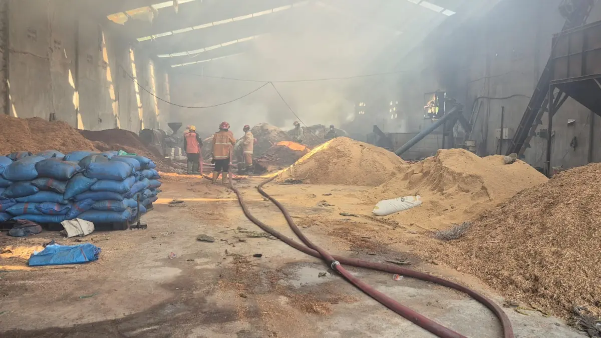 BERJIBAKU: Petugas BPBD berusaha memadamkan api yang membakar gudang penyimpanan serbuk kayu di Dusun Ngenden, Desa Rejoslamet, Kecamatan Mojowarno, Sabtu (30/5) pagi.