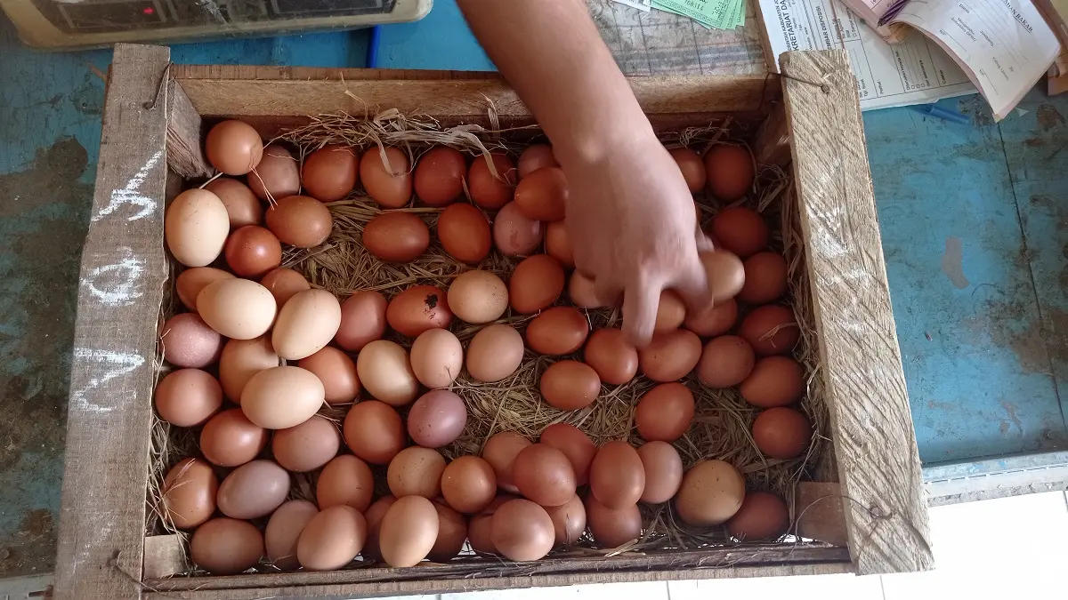 TURUN: Pedagang telur di Pasar Pon menunjukkan telur yang siap jual