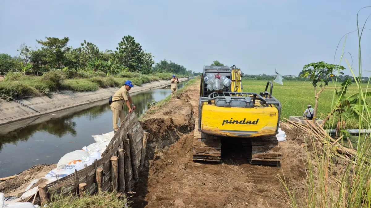 DITANGANI DARURAT: Alat berat melakukan penanganan tanggul SI Mrican Kanan Desa Karangdagangan, Kecamatan Bandarkedungmulyo yang jebol.