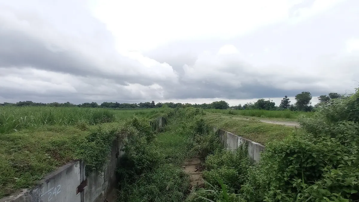 NGANGGUR: Kondisi irigasi Pariterong di Desa Pundong, Kecamatan Diwek ditumbuhi semak belukar.