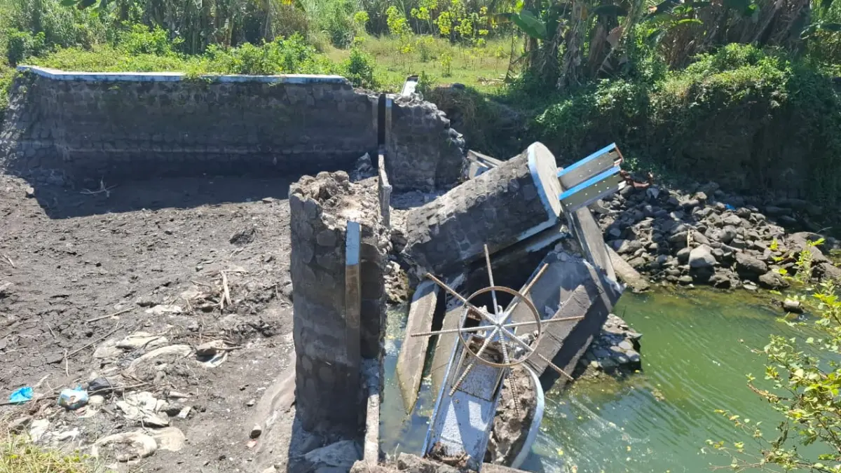 Bendung di saluran Afvoer Budugkesambi, Dusun Delik, Desa Pojokrejo, Kecamatan Kesamben, ambruk 