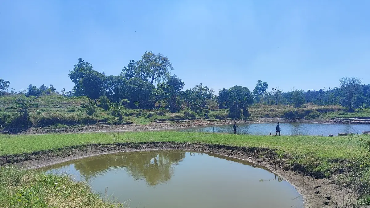 MULAI SUSUT: Warga memancing di area Embung Grojokan di Desa Plabuhan, Kecamatan Plandaan.

