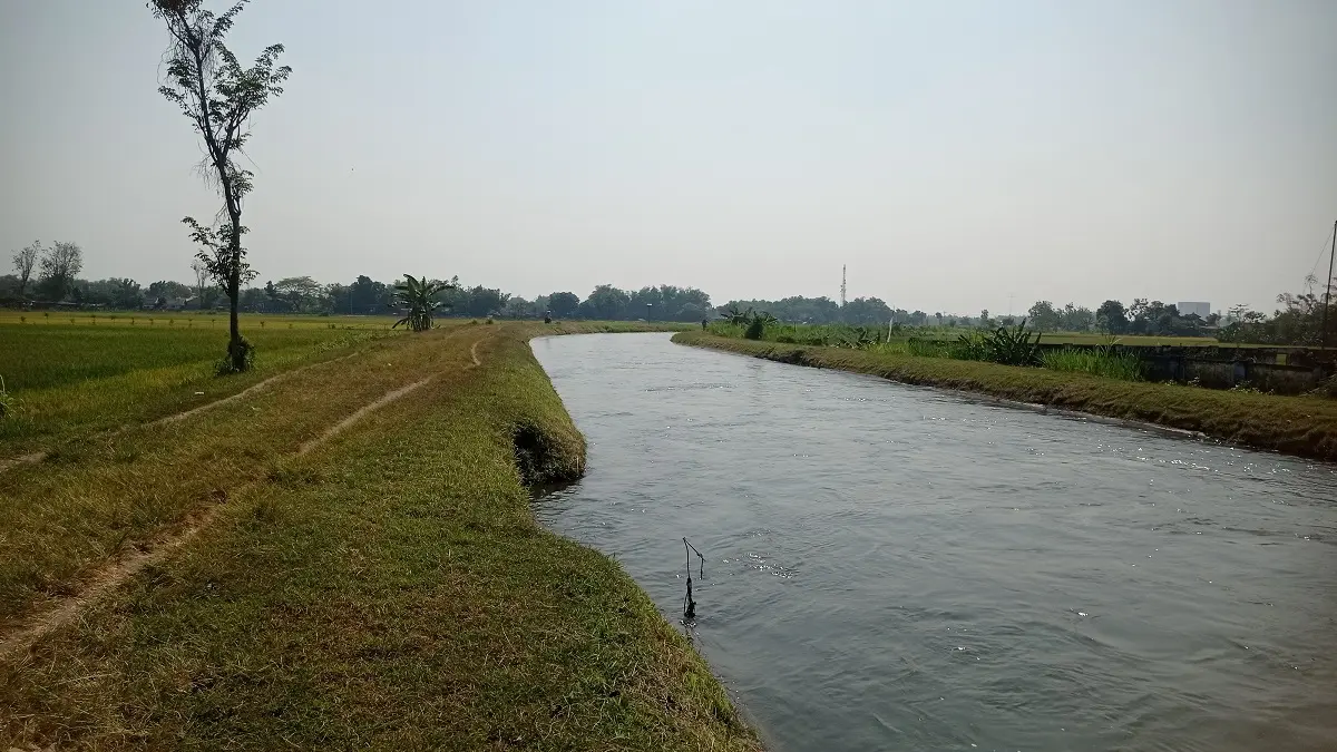 JADI TUMPUAN: Saluran Irigasi Mrican Kanan di Desa Sembung, Kecamatan Perak pemasok irigasi belasan ribu hektare sawah di Jombang.