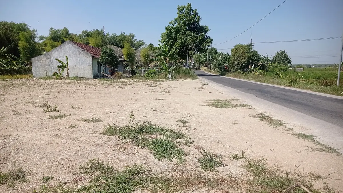 TUNGGU KEPASTIAN: Lahan di Desa Sumberjo, Kecamatan Jombang baru selesai diuruk untuk pembangunan gerai KDKMP.