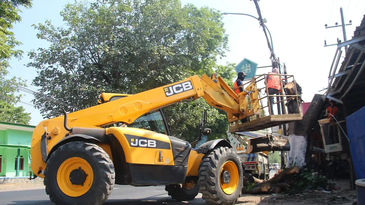 DIKEBUT: Petugas Pemprov Jatim memangkas pohon di kawasan Jalan KH Wahab Chasbullah, Tambakberas, kemarin (13/8).