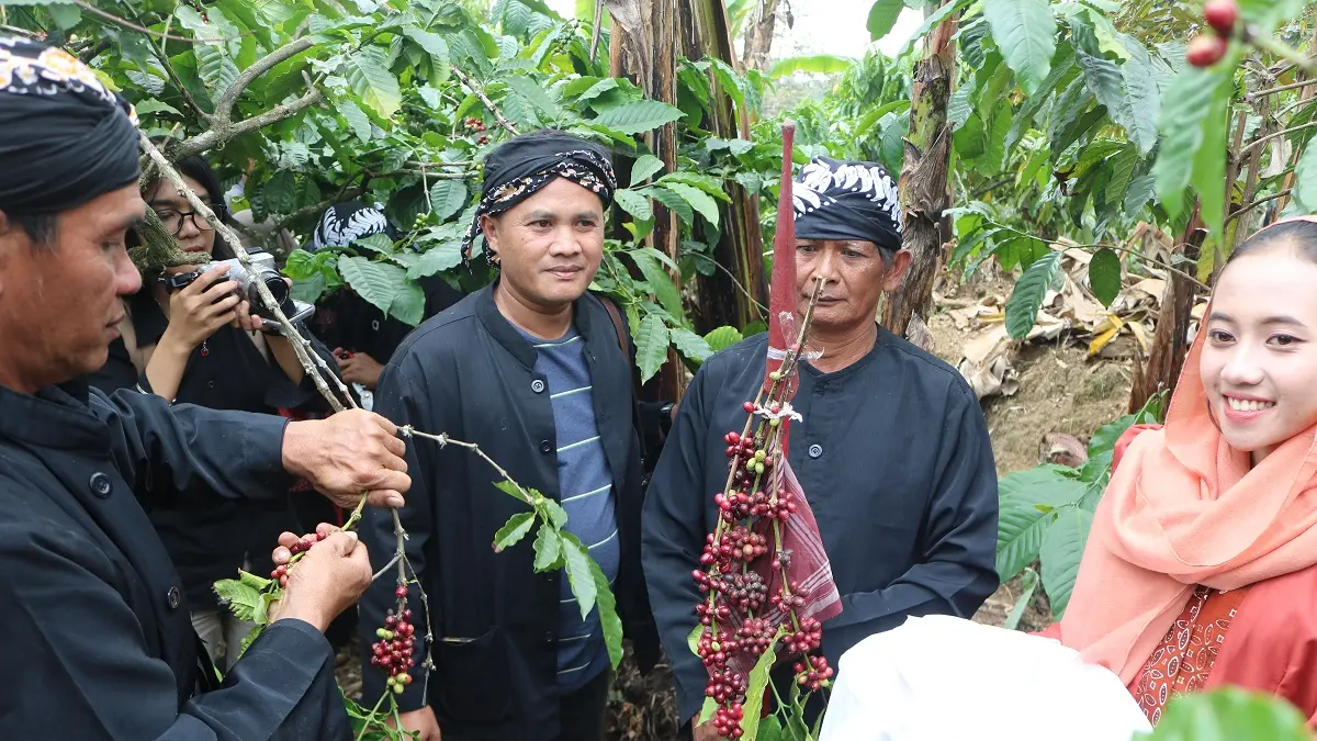 MERAWAT TRADISI: Warga kampung adat Segunung Desa Carangwulung, Kecamatan Wonosalam, mengikuti tradisi wiwit kopi, Sabtu-Minggu (8-9/8). 