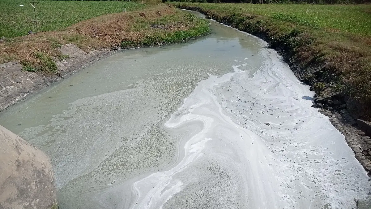 PICU BAU TAK SEDAP: Kondisi air saluran di Desa Badas, Kecamatan Sumobito, yang berbuih.