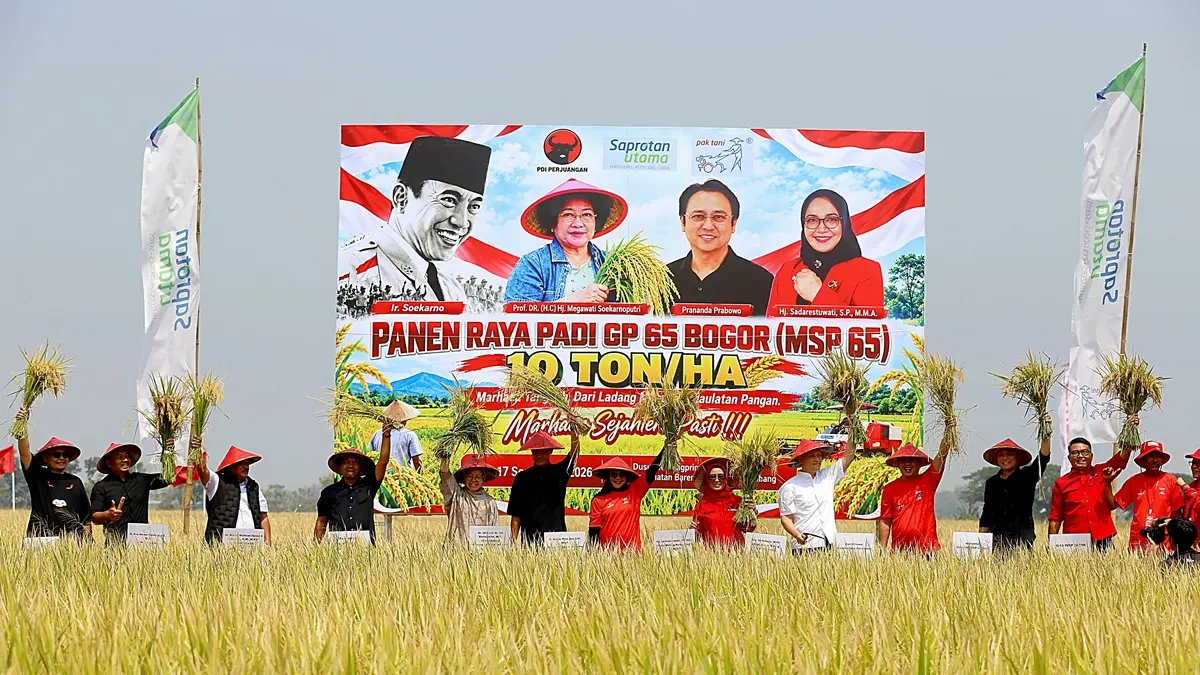 UNGGUL: Ketua DPP PDIP Bidang Pemerintahan dan Otonomi Daerah Ganjar Pranowo, Ketua DPP PDIP Bidang Penanggulangan Bencana Tri Rismaharini, Ketua DPP PDI Perjuangan Bidang Pertanian dan Pangan Sadarestuwati,  saat panen raya padi MSP 65 di Dusun Kedungpring, Desa/Kecamatan Bareng. Kamis (17/9) pagi.
