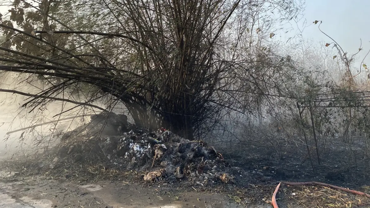KEBAKARAN:  Lahan tebu warga di Desa Denanyar, Kecamatan Jombang terbakar hingga merembet ke permukiman, Minggu (13/9) sore.