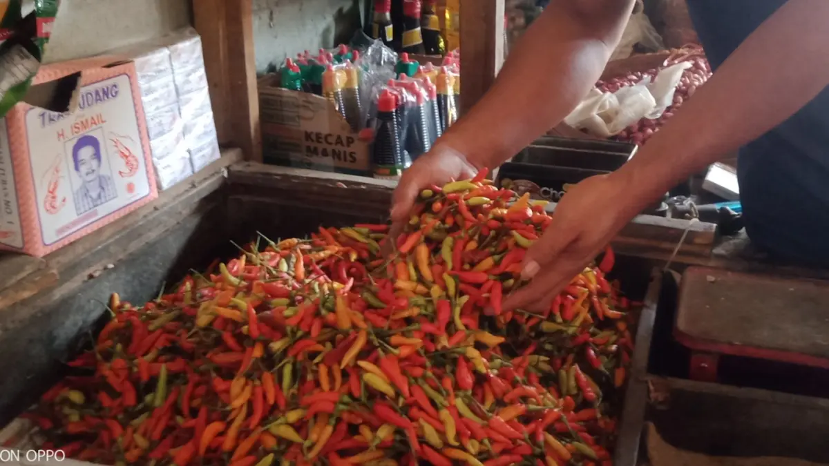 Harga cabai rawit di Pasar Legi Jombang kian pedas. Dalam beberapa pekan terakhir, harganya melonjak dari Rp 65 ribu menjadi Rp 73 ribu per kilogram