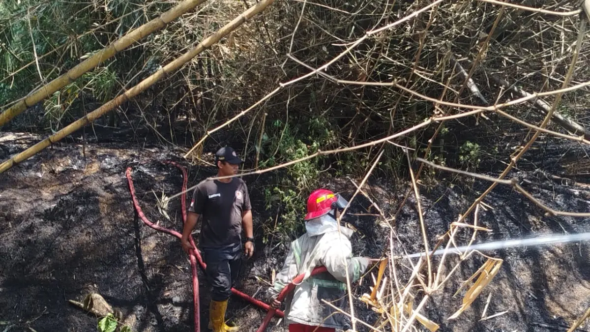 DIEVAKUASI: Petugas Damkar BPBD Jombang melakukan penanganan kebakaran di sejumlah titik, Jumat (25/9).
