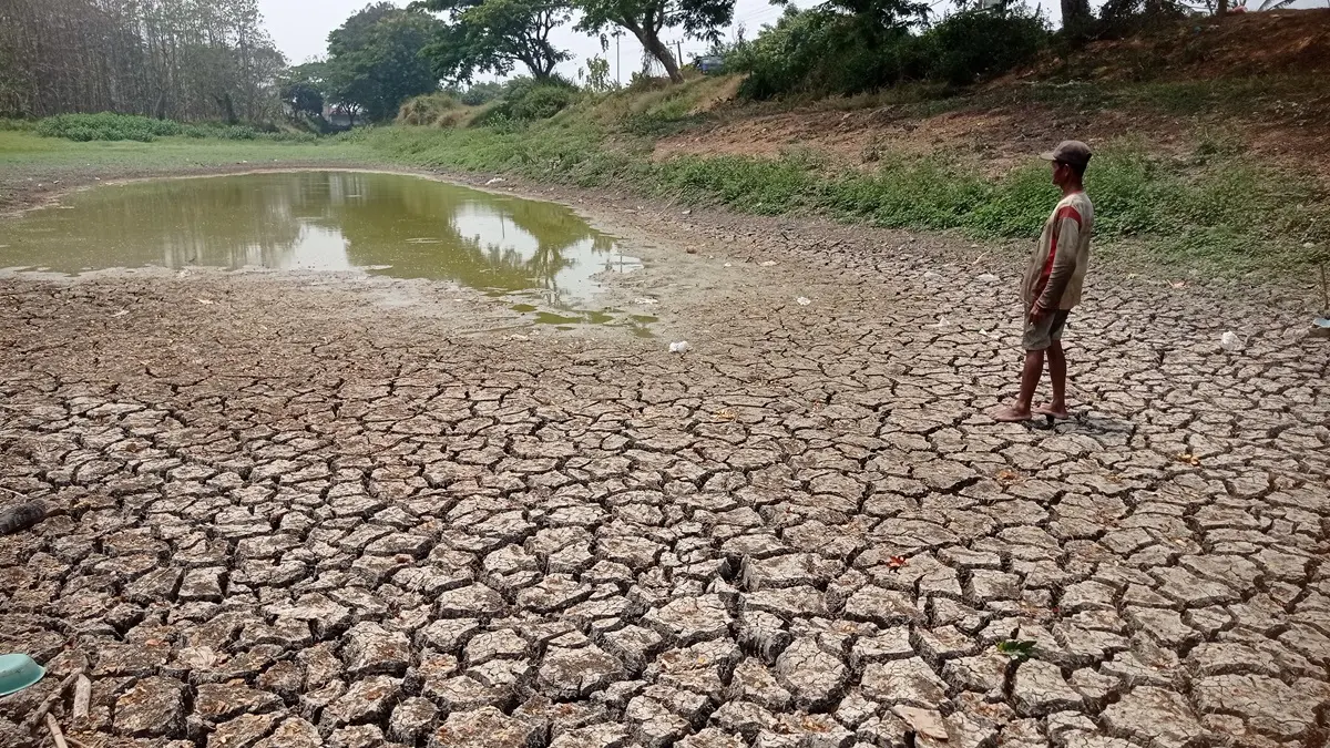MEREKAH: Kondisi Embung Brumbung di Desa Mangunan, Kecamatan Kabuh airnya cenderung habis.