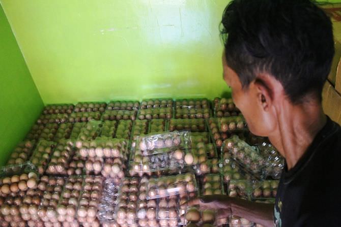 Dikemas Plastik Mika, Telur Busuk Program BPNT Sulit Diamati