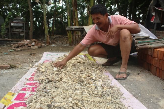 Warga Mojowarno Olah Limbah Kulit Singkong Jadi Pakan Ternak