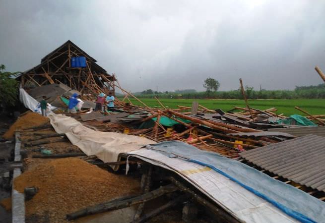 Angin Kencang Terjang Ngoro, Tiga Rumah dan Dua Kandang Rusak