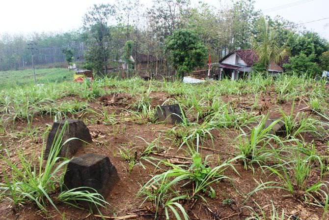 Tak Ada Tindak Lanjut, Umpak Kuno di Desa Karangan Bareng Terlantar