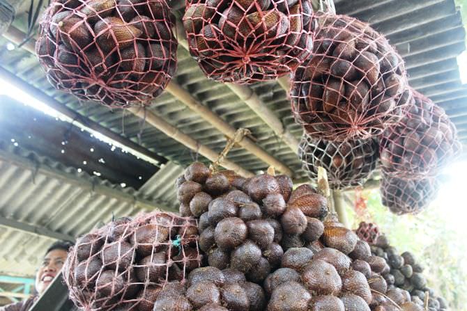 Sepi Pembeli, Nasib Penjual Salak Sentul Semakin Merana