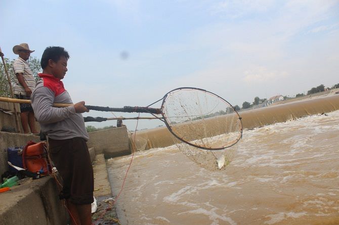 Berkah Sungai Brantas Bagi Para Pencari Ikan, Sehari Bisa 10 Kilo