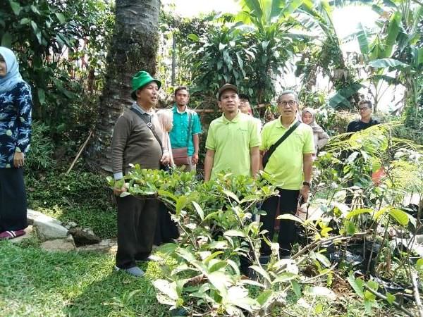 DeDurian Park Disebut Bisa Dongkrak Durian Wonosalam ke Level Nasional