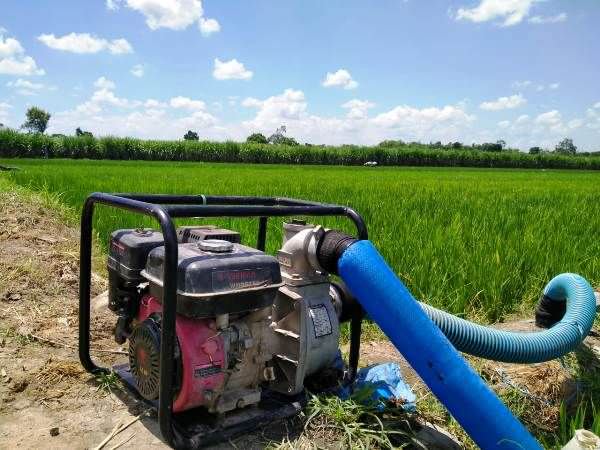 Sistem Irigasi Buruk, Petani di Ngoro Masih Gunakan Pompa Air