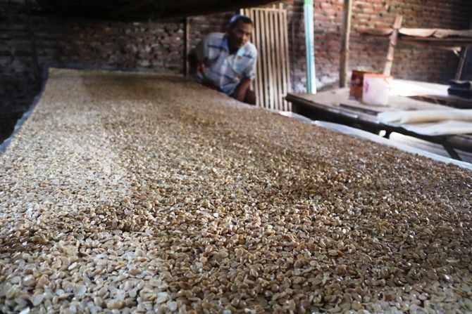 Berlapis dan Dibungkus Daun Jati, Tempe Khas Desa Jatigedong Ploso