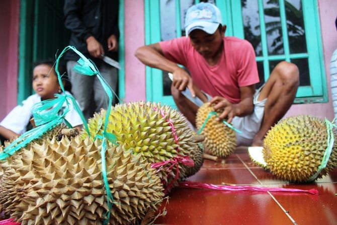 Durian Simas Wonosalam, Varietas yang Dinilai Aman untuk Kesehatan