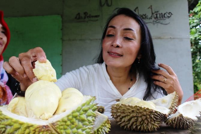 Nikmatnya Durian Bido Khas Wonosalam; Daging Tebal, Manisnya Legit