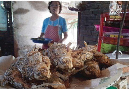 Ikan jendil dan rengkik khas sungai Brantas makin langka di Kecamatan