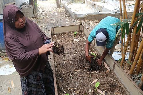 Pengamat kebijakan publik, Achmad Sholikhin Ruslie, menilai program