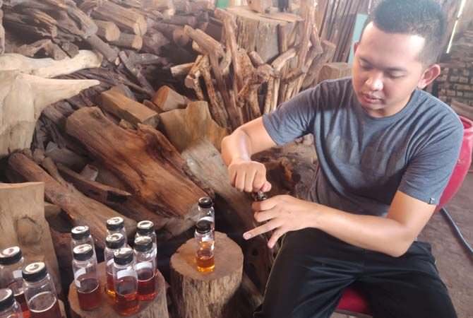 Bagi para pecinta parfum atau wewangian, kayu gaharu merupakan bahan p