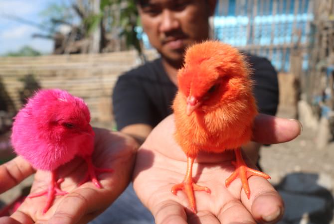SALAH satu dusun di Desa Watudakon, Kecamatan Kesamben sejak puluhan t