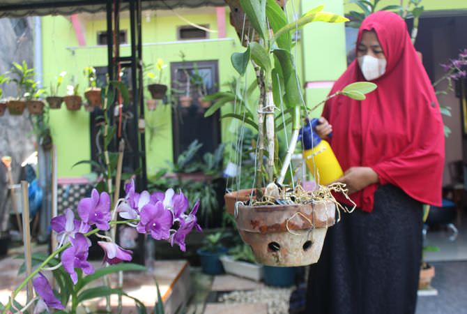 Pandemi Covid - 19, Tanaman di Jombang Lebih Terawat
