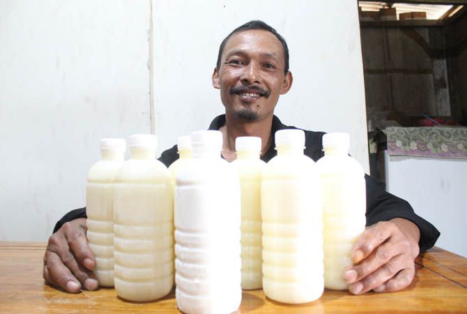 Susu Kambing Perah Asli dari Peternak, Dikirim Hingga Luar Daerah