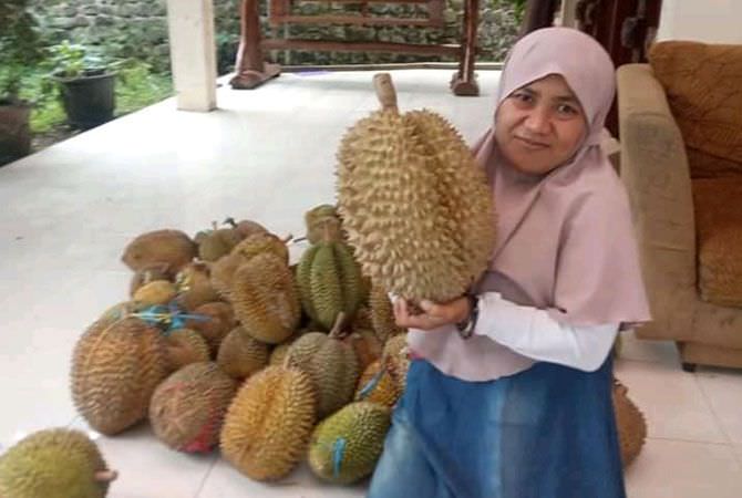 Pasar Buah Wonosalam Desain Tradisional, Jujukan Asik Berburu Durian