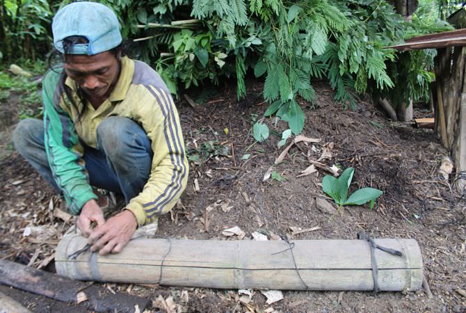 Berburu Madu Klanceng Liar Asli Hutan Pengajaran Rasa Agak Masam Pahit