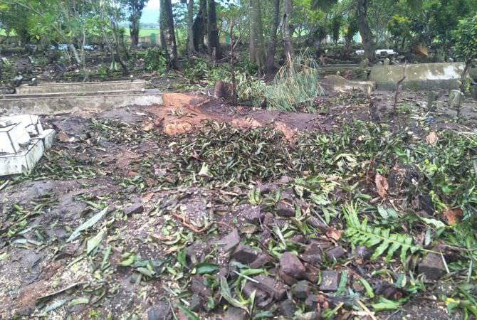 Warga Tejo Protes Penebangan Pohon di Pemakaman