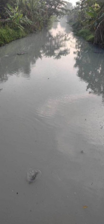 Sungai di Desa Ngumpul ini berwarna putih dan berbau busuk karena limbah tahu. (AZMY ENDIYANA Z/JAWA POS RADAR JOMBANG)