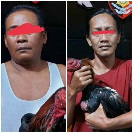Dua orang yang diamankan polisi dari lokasi judi sabung ayam. (ISTIMEWA)