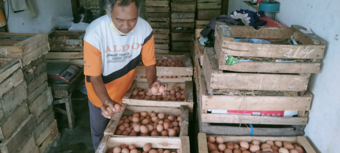 Pedagang grosir telur di PCN ini omzetnya turun gegara harga telur yang makin meroket.
