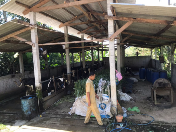 Petugas dari DLH Jombang mengecek kondisi kandang sapi yang jadi penyebab tercemarnya sungai gogor di Wonosalam.