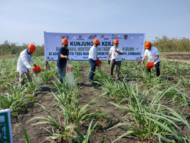 (dari kiri) Direktur PTPN X Tuhu Bangun, Dirut PTPN Holding Mohammad Abdul Ghani, Wakil Menteri BUMN I Pahala Nugraha Mansury, ADM Perhutani KKPH Jombang Muchlisin, Dirut Perum Perhutani Wahyu Kuncoro saat pemupukan agro tebu.
