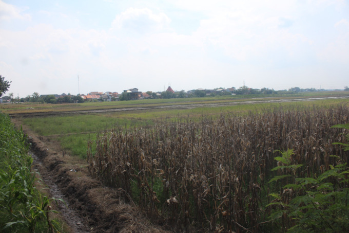 TKD Denanyar yang sedianya akan ditukar guling untuk jadi lahan relokasi Pedagang pasar legi