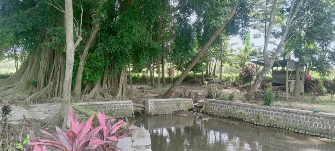 Sumber mata air di Desa Banyuarang Kecamatan Ngoro ini  menyimpan banyak kisah mistis